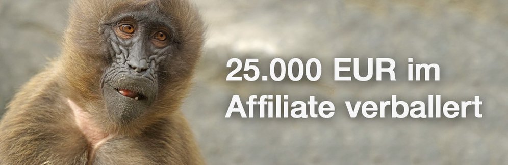 Affiliate: Hohe Verluste durch falschen Orderabgleich